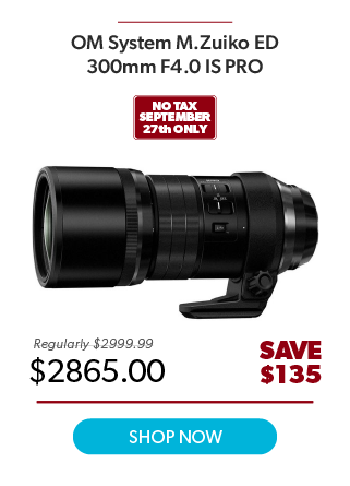OM 300mm F4 IS PRO