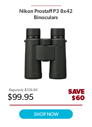 Nikon Prostaff P3 8x42
