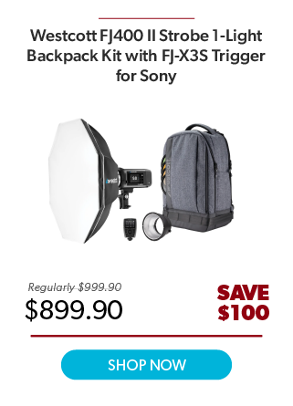 Westcott FJ400 II Kit