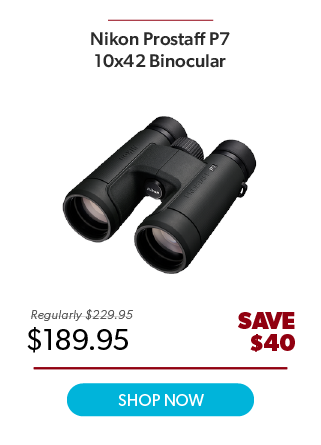 Nikon Prostaff P7 10x42