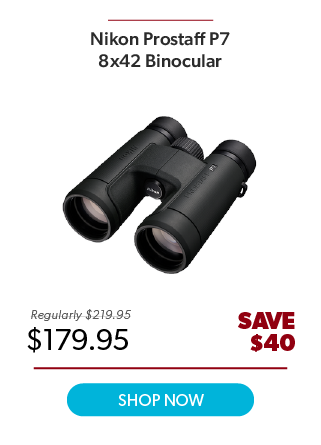 Nikon Prostaff P7 8x42