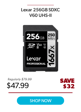 Lexar 256GB SDXC V60 UHS-II