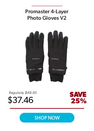 Promaster 4-Layer Gloves V2