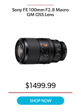 Sony FE 100mm F/2.8 Macro GM OSS Lens