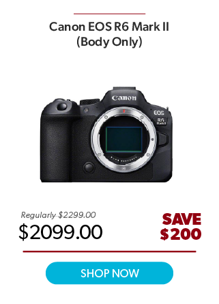 Canon EOS R6 Mark II Mirrorless