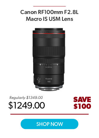 Canon RF 100mm f/2.8L Macro IS USM Lens