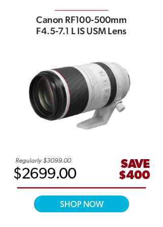 Canon RF 100-500mm F4.5-7.1 L IS USM Lens