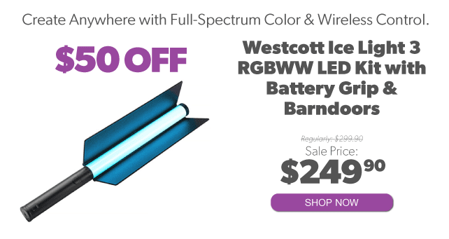 Westcott Ice Light 3 with Grip and Barn Doors