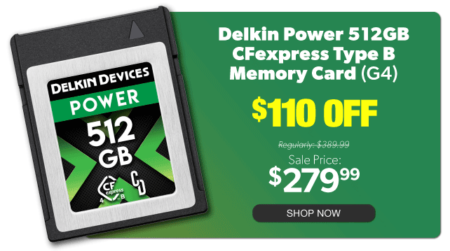 Delkin Power 512GB CFexpress Type B Memory