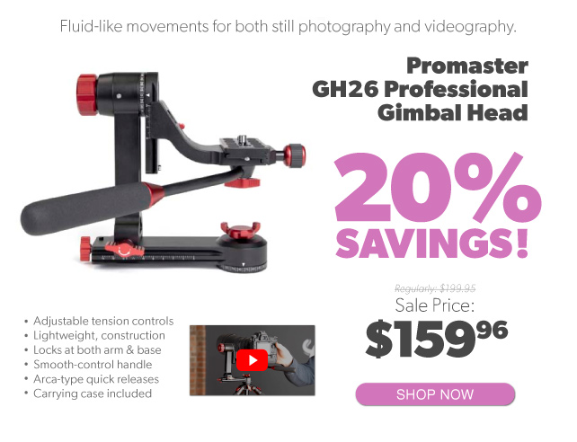 Promaster Bimbal Head