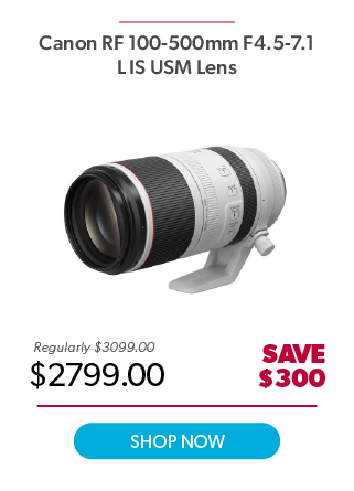 Canon RF100-500mm