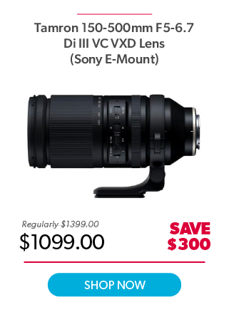 Tamron 150-500mm Sony