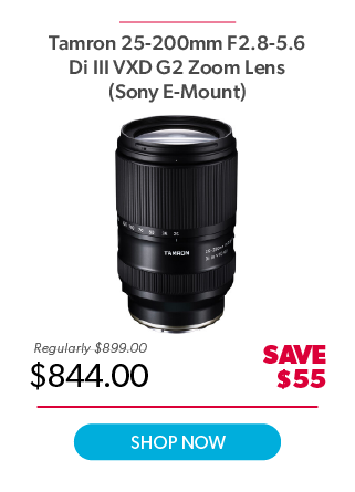 Tamron 25-200mm Sony