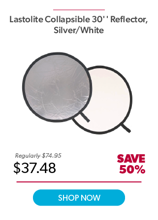 Lastolite 30in Reflector